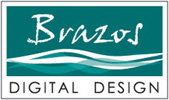 Brazos Digital Design